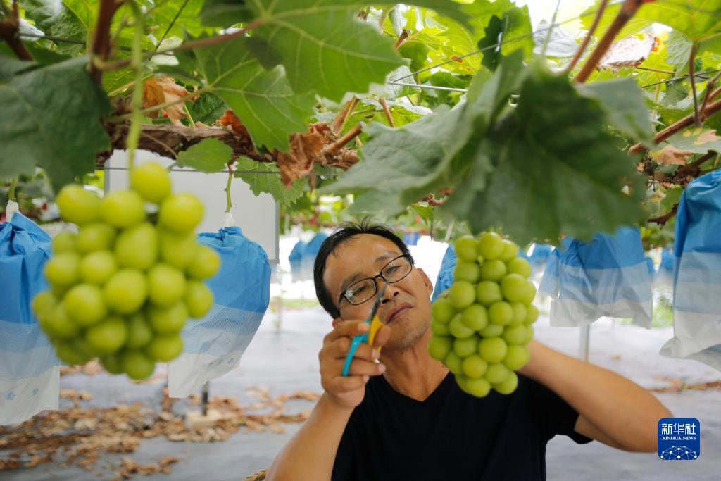 千炮黄金捕鱼